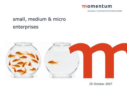 Small, medium & micro enterprises 25 October 2007.