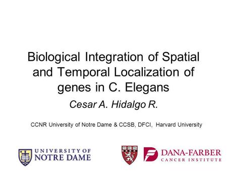 Biological Integration of Spatial and Temporal Localization of genes in C. Elegans Cesar A. Hidalgo R. CCNR University of Notre Dame & CCSB, DFCI, Harvard.
