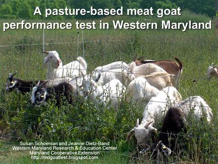 A pasture-based meat goat performance test in Western Maryland Susan Schoenian and Jeanne Dietz-Band Western Maryland Research & Education Center Maryland.