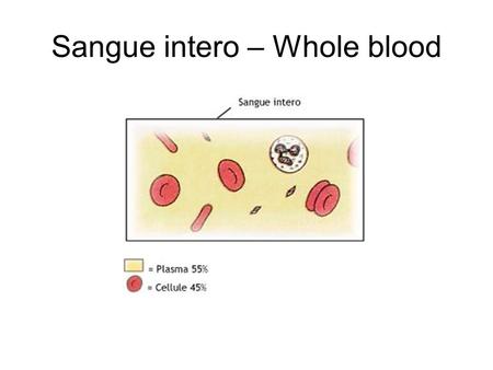 Sangue intero – Whole blood. Il sangue - blood ERITROCITI - ERYTHROCYTES.