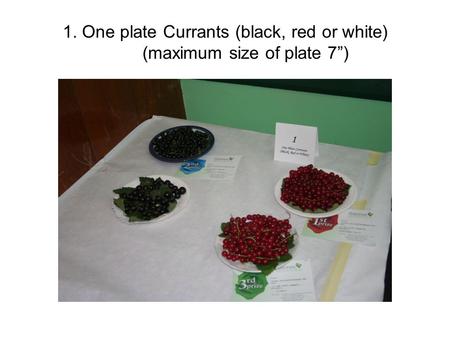 1. One plate Currants (black, red or white) (maximum size of plate 7”)