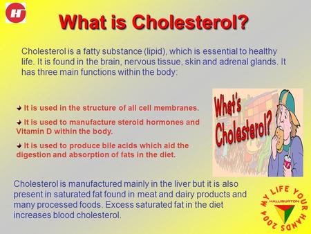 What is Cholesterol? Cholesterol is a fatty substance (lipid), which is essential to healthy life. It is found in the brain, nervous tissue, skin and adrenal.
