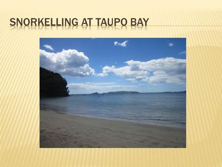  Yesterday the whole school went to Taupo Bay to snorkel. First we did the rubbish clean up. I found a beer bottle. Next I found some plastic wrappers.