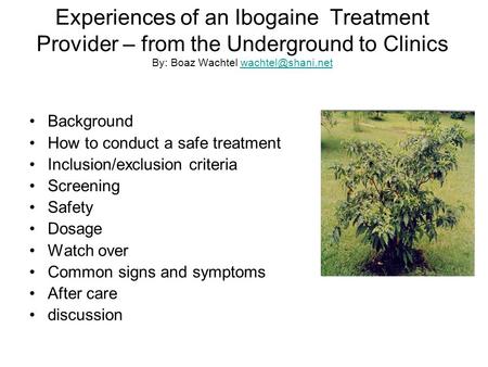 Experiences of an Ibogaine Treatment Provider – from the Underground to Clinics By: Boaz Wachtel Background How to conduct.