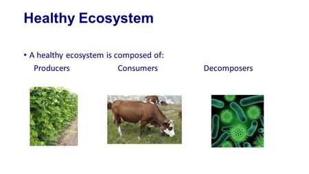 Healthy Ecosystem A healthy ecosystem is composed of: