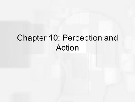 Chapter 10: Perception and Action. Overview of Questions How does the way the environment “flows by” a moving car help the driver stay on the road? How.