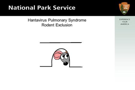 Hantavirus Pulmonary Syndrome Rodent Exclusion. SIGNS OF RODENT INFESTATION Droppings Tracks Gnawing damage Burrows Runways.