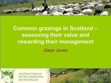 Common grazings in Scotland – assessing their value and rewarding their management Gwyn Jones.