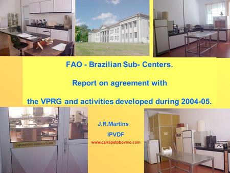 FAO - Brazilian Sub- Centers. Report on agreement with the VPRG and activities developed during 2004-05. J.R.Martins IPVDF www.carrapatobovino.com.