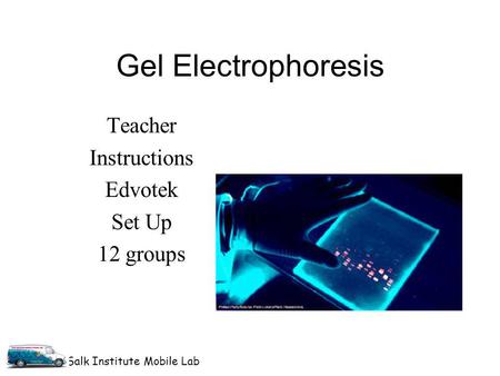 Salk Institute Mobile Lab Gel Electrophoresis Teacher Instructions Edvotek Set Up 12 groups.