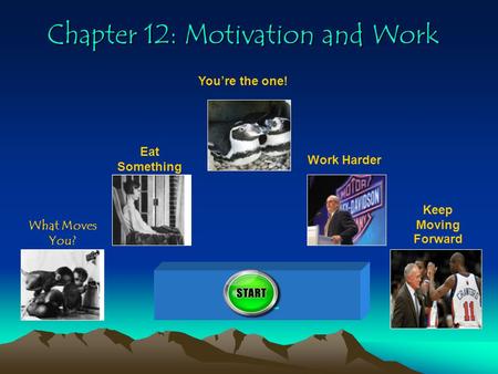 Chapter 12: Motivation and Work