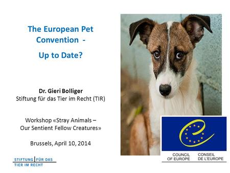 The European Pet Convention - Up to Date? Dr. Gieri Bolliger Stiftung für das Tier im Recht (TIR) Workshop «Stray Animals – Our Sentient Fellow Creatures»