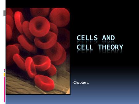 Cells and Cell Theory Chapter 1.
