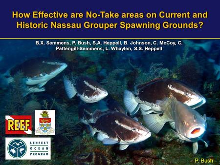 How Effective are No-Take areas on Current and Historic Nassau Grouper Spawning Grounds? P. Bush B.X. Semmens, P. Bush, S.A. Heppell, B. Johnson, C. McCoy,
