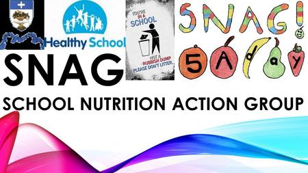 SNAG SCHOOL NUTRITION ACTION GROUP. In Holyrood we continue to pride ourselves on how our children and young people lead us in planning activities to.