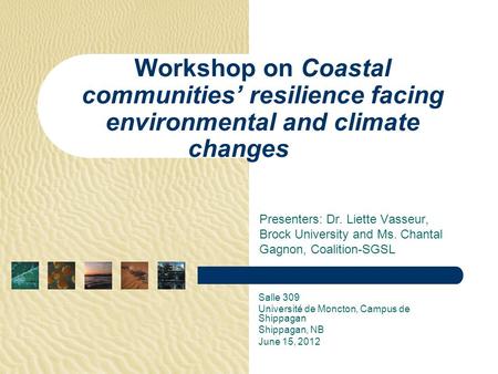 Presenters: Dr. Liette Vasseur, Brock University and Ms. Chantal Gagnon, Coalition-SGSL Workshop on Coastal communities’ resilience facing environmental.