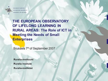 THE EUROPEAN OBSERVATORY OF LIFELONG LEARNING IN RURAL AREAS: The Role of ICT in Meeting the Needs of Small Enterprises Brussels 7 th of September 2007.
