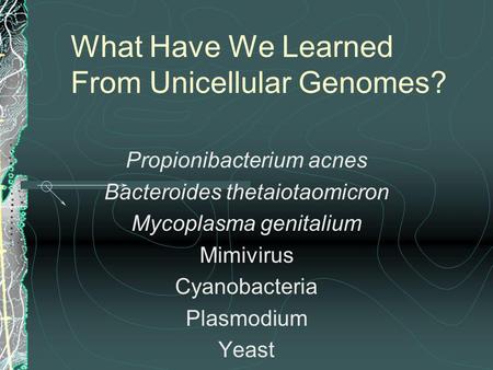 What Have We Learned From Unicellular Genomes?