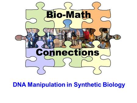 DNA Manipulation in Synthetic Biology. DNA structure Covalent bondsHydrogen bonds.