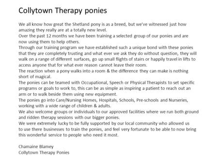 Collytown Therapy ponies We all know how great the Shetland pony is as a breed, but we've witnessed just how amazing they really are at a totally new level.