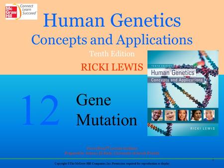The Nature of Mutations