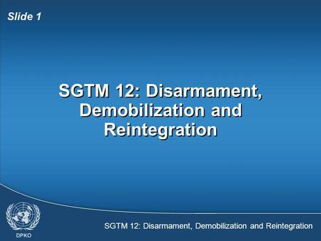 SGTM 12: Disarmament, Demobilization and Reintegration Slide 1 SGTM 12: Disarmament, Demobilization and Reintegration.