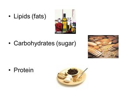Lipids (fats) Carbohydrates (sugar) Protein. ENERGY 1 st Law of Thermodynamics –Energy can’t be created or destroyed, it can only change forms. chemical.