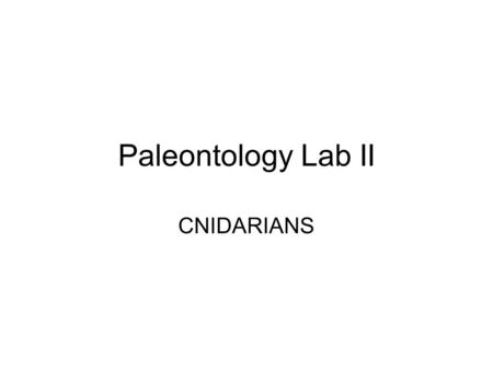 Paleontology Lab II CNIDARIANS.