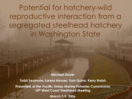 Potential for hatchery-wild reproductive interaction from a segregated steelhead hatchery in Washington State Michael Dauer Todd Seamons, Lorenz Hauser,
