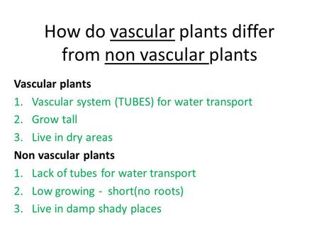How do vascular plants differ from non vascular plants
