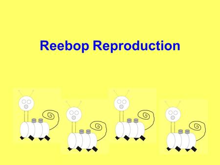 Reebop Reproduction Why aren’t all baby Reebops the same?