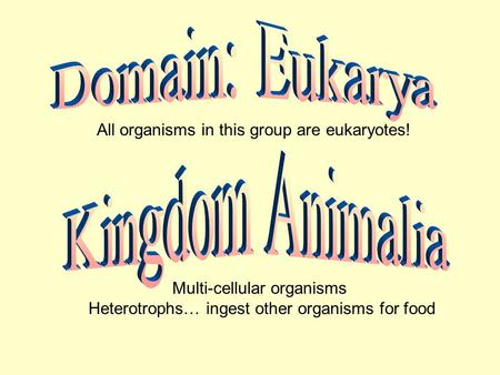 All organisms in this group are eukaryotes! Multi-cellular organisms Heterotrophs… ingest other organisms for food.