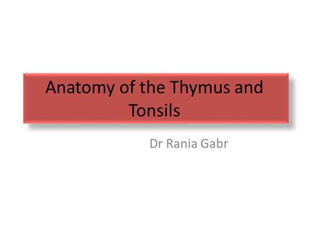 Anatomy of the Thymus and Tonsils Dr Rania Gabr. Roughly a bi-lobed structure DEVELOPMENT- bilateral 3 rd pharyngeal pouches EVOLUTION- largest at birth.
