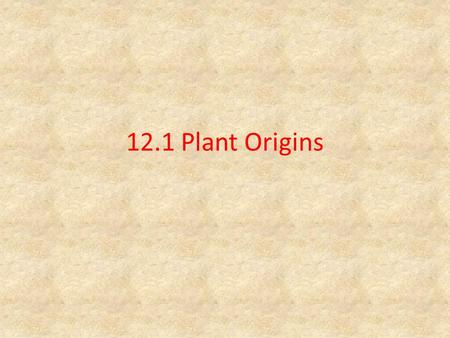 12.1 Plant Origins. How many different plants do you know? Grasses Garden flowers Trees Mosses and Ferns Food plants Can you think of more?