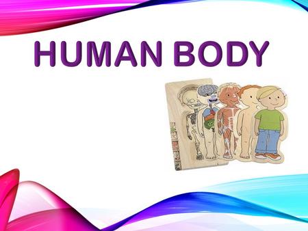 OBJECTIVES: DEFINITION: Human body is made up of many systems. These include : 1. Skeletal system. 2. Circulatory system. 3. Digestive system. 4. Nervous.