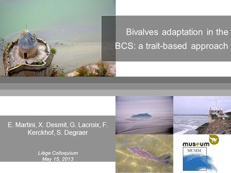 MUMM Bivalves adaptation in the BCS: a trait-based approach E. Martini, X. Desmit, G. Lacroix, F. Kerckhof, S. Degraer Liége Colloquium May 15, 2013.