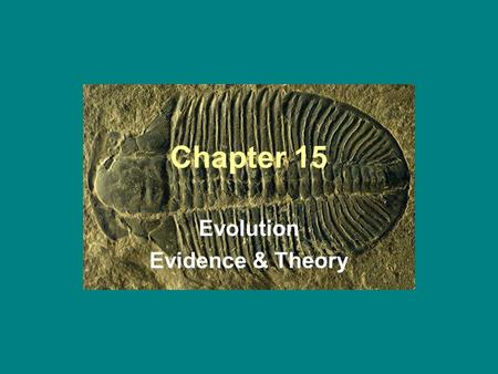 Chapter 15 Evolution Evidence & Theory. 15-1 The Fossil Record.