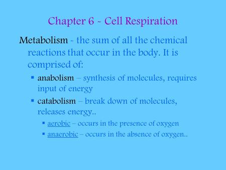 Chapter 6 - Cell Respiration