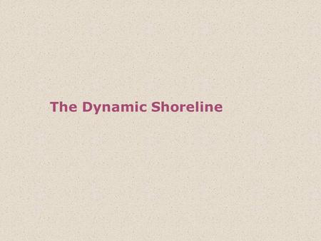 The Dynamic Shoreline.