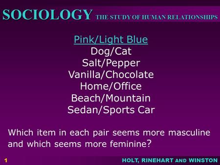 THE STUDY OF HUMAN RELATIONSHIPS SOCIOLOGY HOLT, RINEHART AND WINSTON 1 Pink/Light Blue Dog/Cat Salt/Pepper Vanilla/Chocolate Home/Office Beach/Mountain.