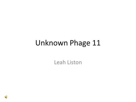 Unknown Phage 11 Leah Liston Cluster Identification Unknown 11 is identified with Cluster Q Other Phage in Cluster Q – Long time singleton: Giles – Evanesce.