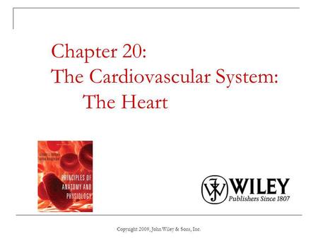 Chapter 20: The Cardiovascular System: The Heart