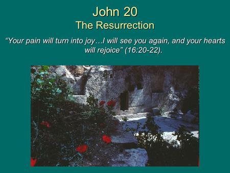John 20 The Resurrection “Your pain will turn into joy…I will see you again, and your hearts will rejoice” (16:20-22).