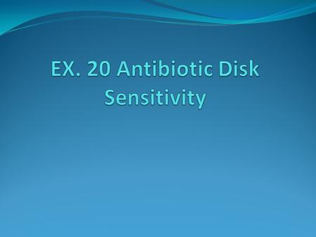 EX. 20 Antibiotic Disk Sensitivity