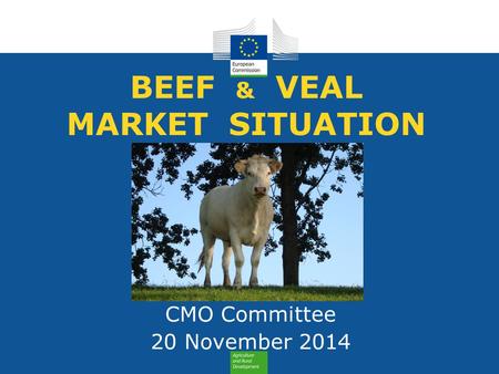 BEEF & VEAL MARKET SITUATION CMO Committee 20 November 2014.