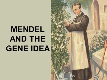 MENDEL AND THE GENE IDEA