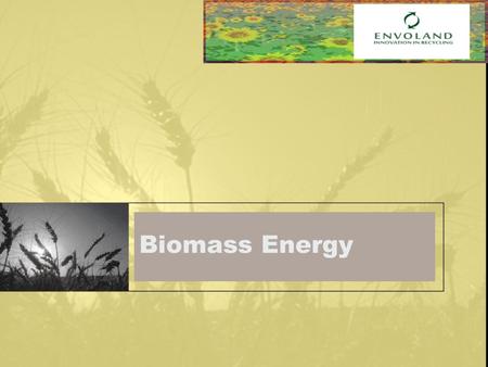 Biomass Energy. Presentation What is biomass? Types of biomass energy sources Biomass conversion Biomass advantage Status and promotion of domestic investment.
