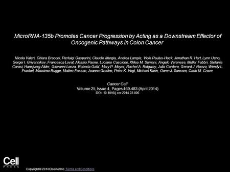 MicroRNA-135b Promotes Cancer Progression by Acting as a Downstream Effector of Oncogenic Pathways in Colon Cancer Nicola Valeri, Chiara Braconi, Pierluigi.