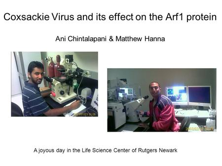 Coxsackie Virus and its effect on the Arf1 protein Ani Chintalapani & Matthew Hanna A joyous day in the Life Science Center of Rutgers Newark.
