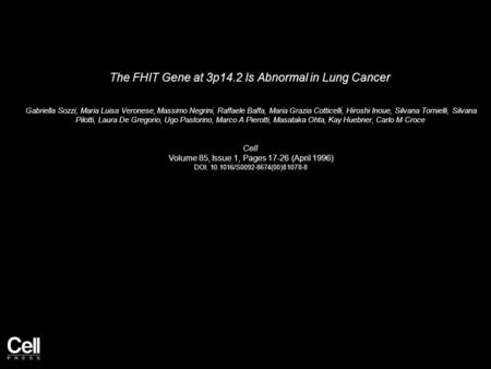 The FHIT Gene at 3p14.2 Is Abnormal in Lung Cancer Gabriella Sozzi, Maria Luisa Veronese, Massimo Negrini, Raffaele Baffa, Maria Grazia Cotticelli, Hiroshi.
